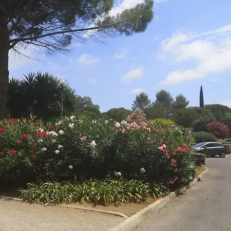 Apartamento Studio Near Beaches With Free Parking By Weekome *